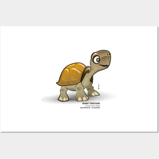 Galapagos Giant Tortoise Posters and Art